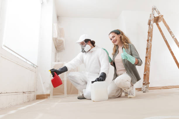 Best Comprehensive Air Testing for Mold Contaminants  in Wolcottville, IN
