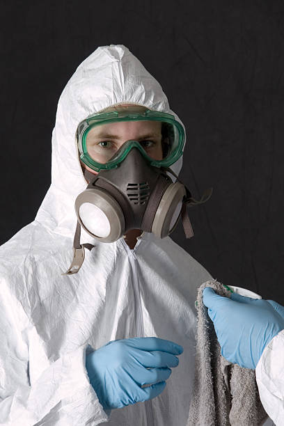 Best Emergency Mold Remediation  in Wolcottville, IN
